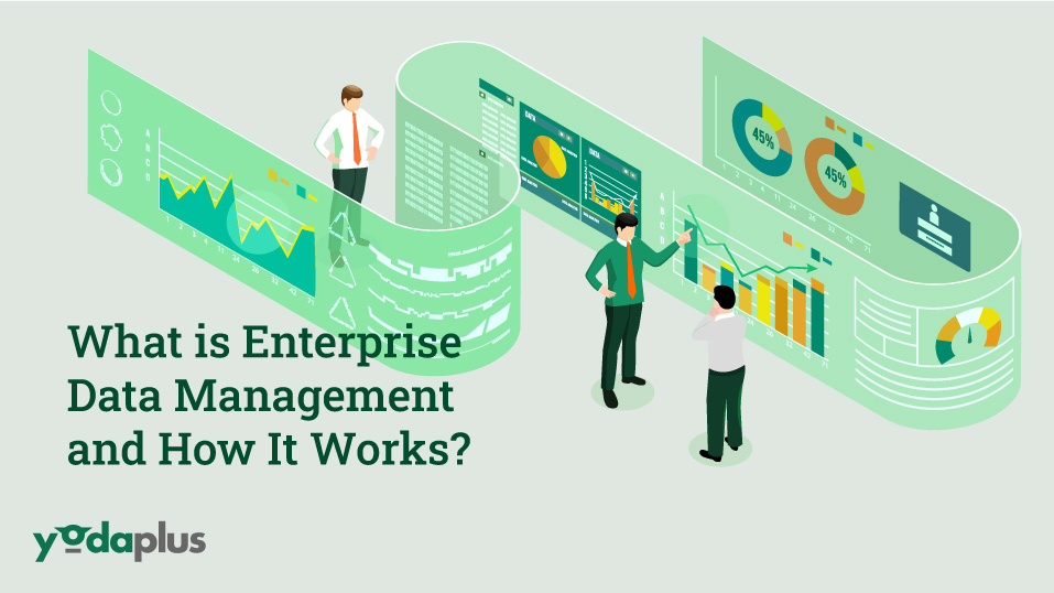 Yodaplus Enterprise Data Management