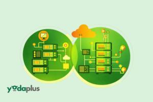 Choosing between Open Source LLMs Over Closed AI