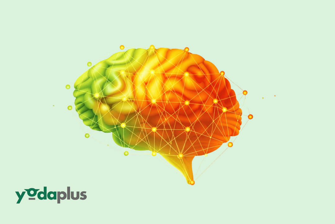How Open Models Enable Persistent Agent Identity